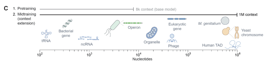 Evo 2 Pretraining vs Midtraining